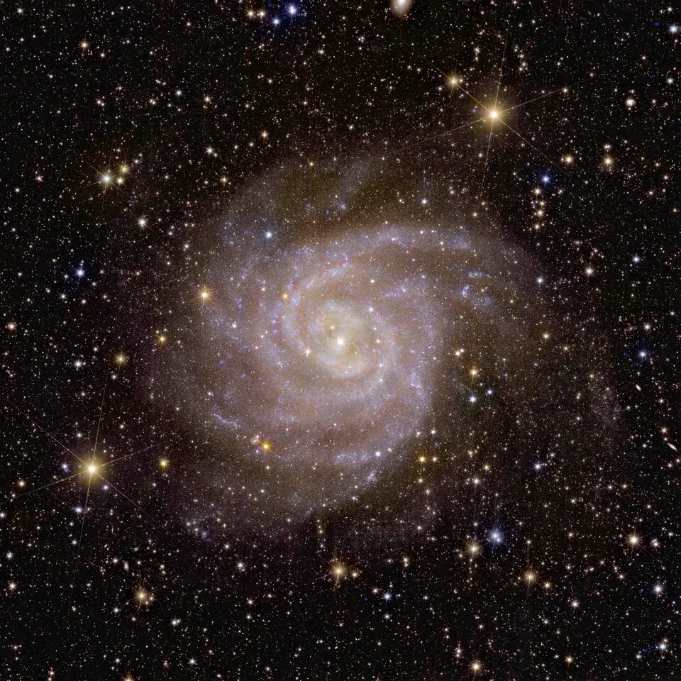 称为「隐藏星系」的IC 342，由于此星系位于银河盘面的视线方向上，被银河系中的星际物质遮挡而难以看见。现在借由欧几里德望远镜在近红外线波段的摄影，终于展现出星系的完整形态，发现与我们的银河系十分类似。That’s why it’s fitting that one of the first galaxies that Euclid observed is nicknamed the ‘Hidden Galaxy’. This galaxy, also known as IC 342 or Caldwell 5, is difficult to observe because it lies behind the busy disc of our Milky Way, and so dust, gas and stars obscure our view.