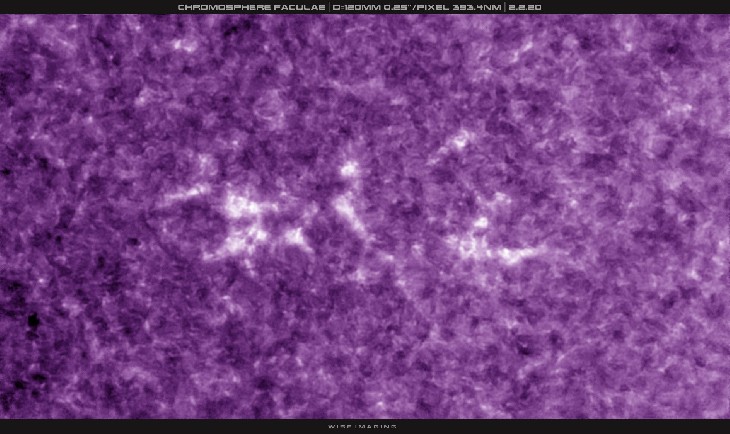Ca-K滤镜拍摄的太阳磁场影像。Credit: Martin Wise on February 2, 2020 @ Trenton, Florida, USA