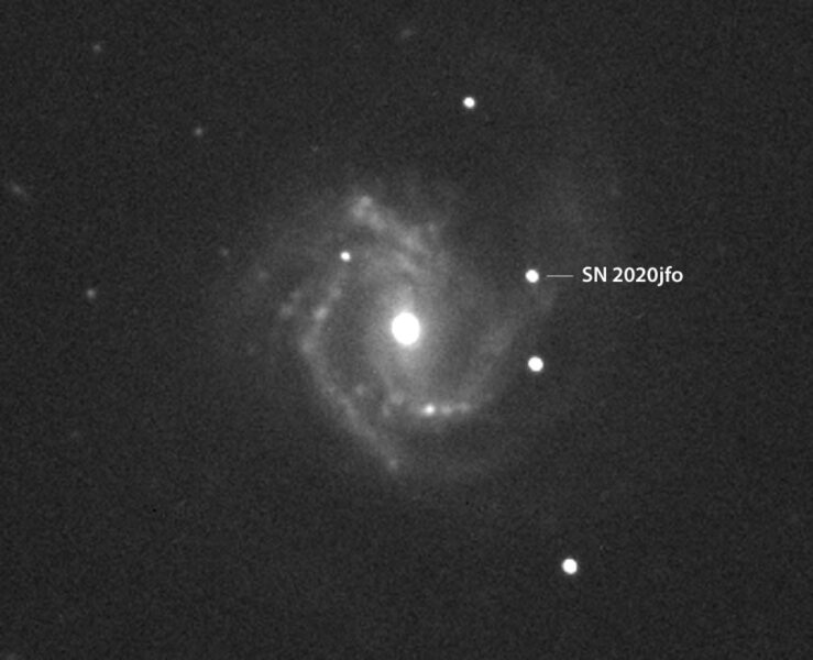 Zwicky瞬变设施于2020年5月6日在室女座明亮的M61星系中发现了2020jfo超新星-这是自1926年以来该星系中记录的第八个超新星。 詹卢卡·马西（Gianluca Masi）