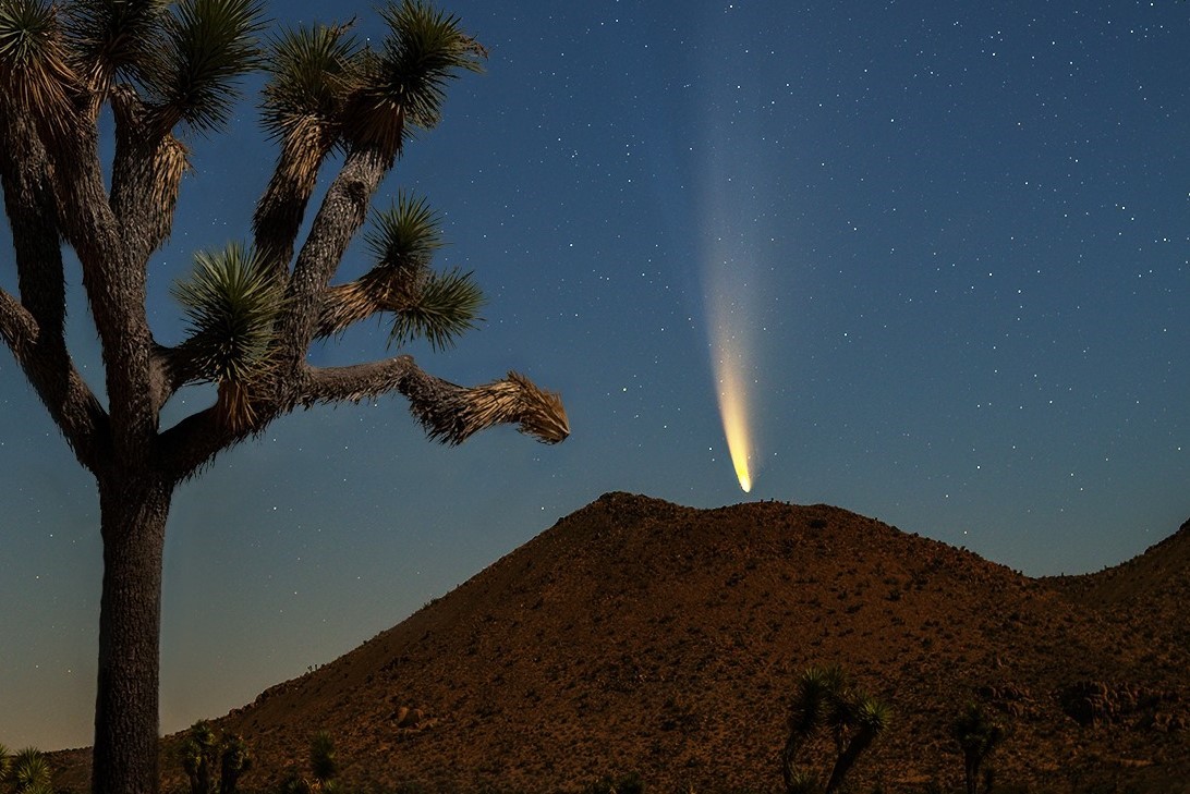 美国加利福利亚地平线上方的新智彗星（裁剪前原图：美国国家航天局APOD网站；拍摄者：Jack Fusco）