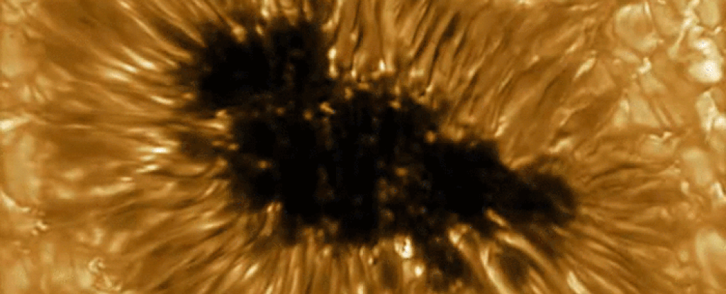 2020年7月30日太阳黑子的实际影像