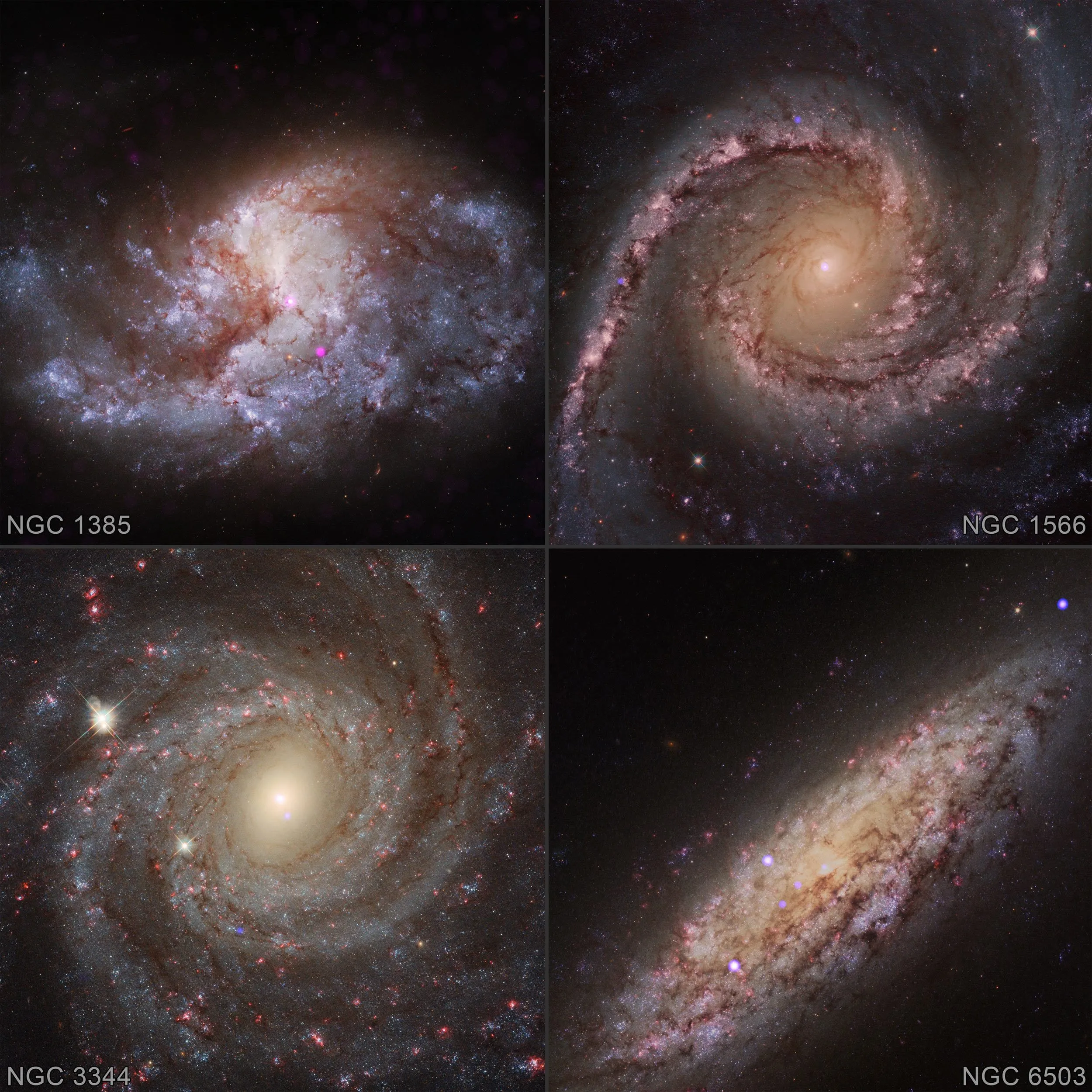 星系显示其中心附近黑洞生长的证据。钱卓拉X射线（蓝色）叠加在来自哈勃太空望远镜所拍摄的星系NGC 1385、NGC 1566、NGC 3344和NGC 6503的光学影像上。