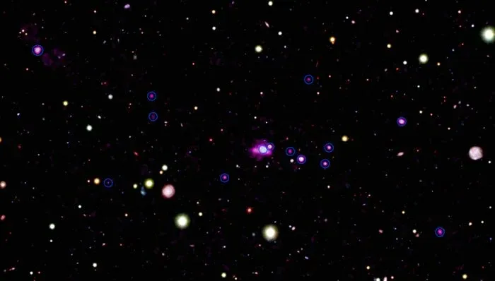 蜘蛛网星系团中的14个超大质量黑洞，紫光强烈处为强X射线发射源。