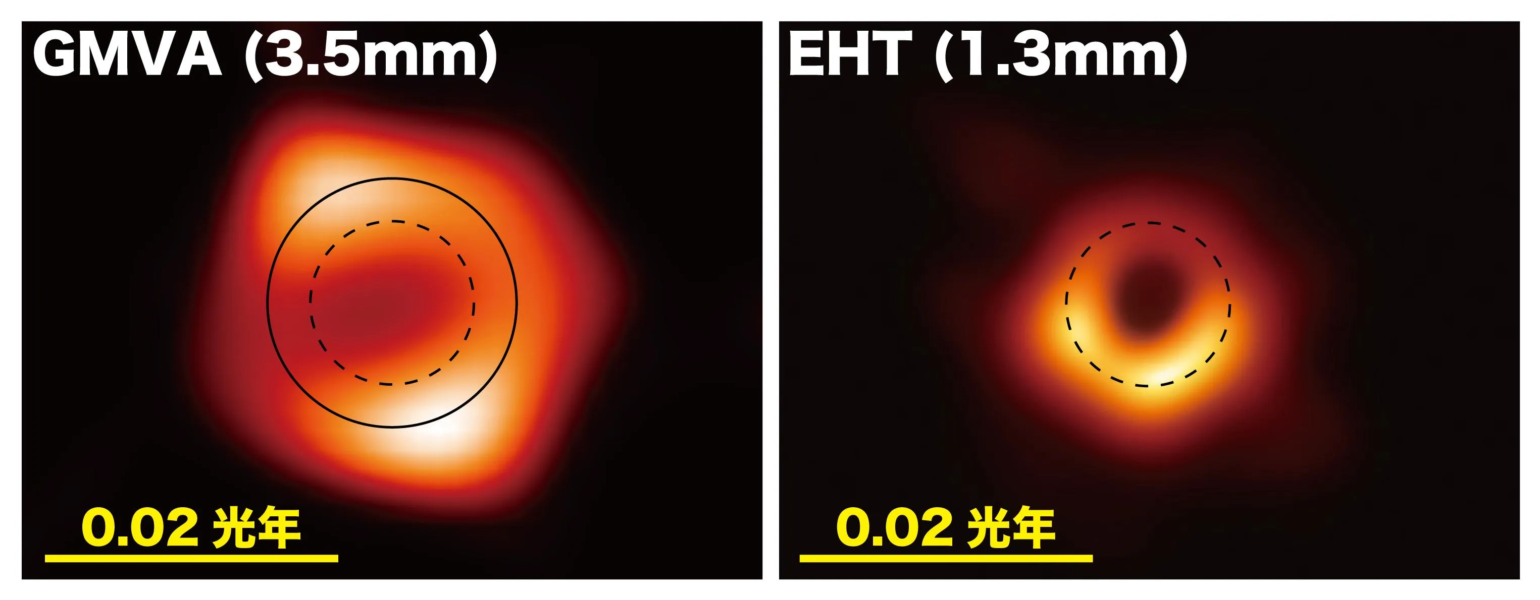 不同波长观测的M87黑洞阴影影像，左：GMVA（3.5毫米），右：EHT（1.3毫米）。图片来源：Lu, Asada, et al. (2023); the EHT Collaboration; composition by F. Tazaki