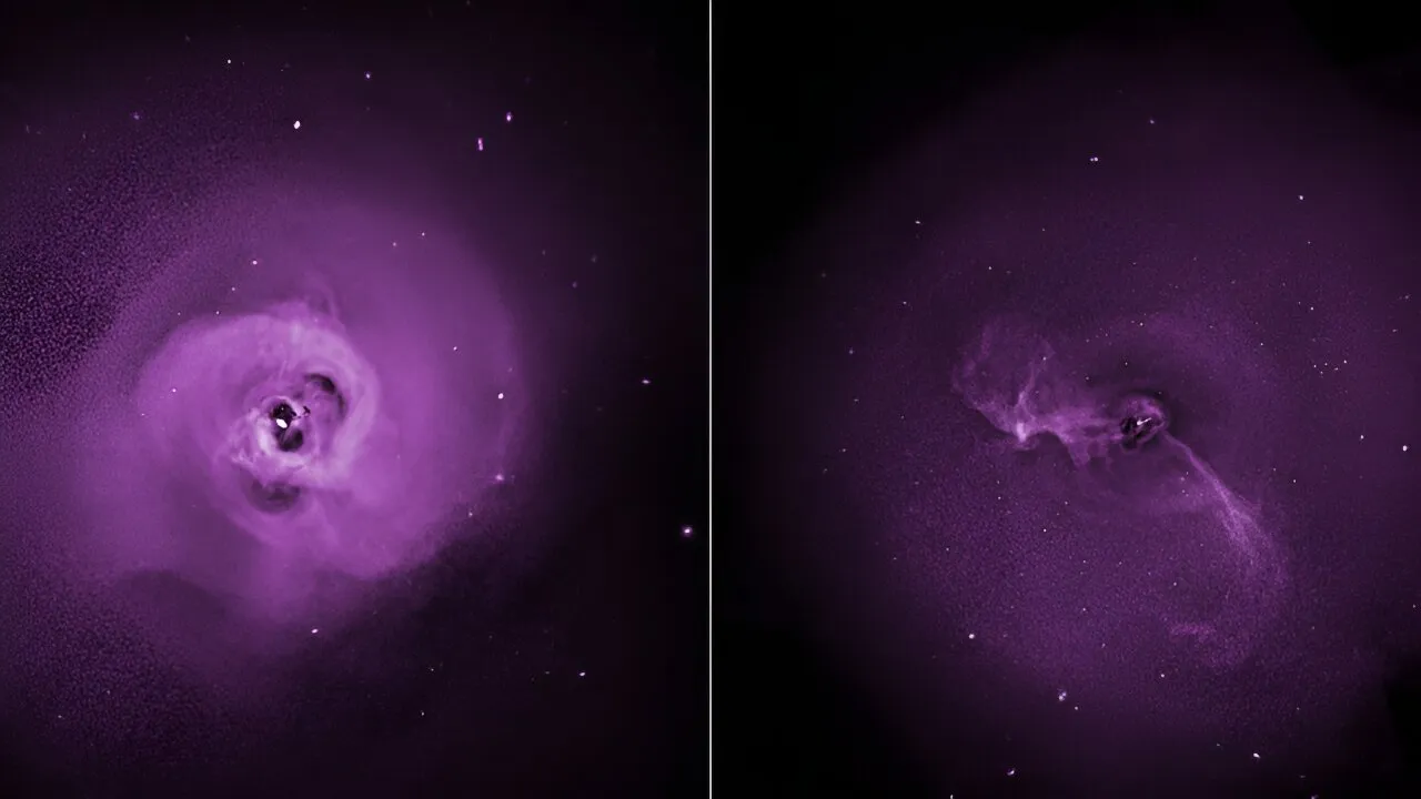 英仙座（左）和室女座（右）星系团一直是科学家感兴趣的对象。XRISM将以这些过去的观测（如上面钱卓拉X射线天文台拍摄的图像）为基础，以便更理解这些大质量天体的物理现象。The Perseus (left) and Virgo (right) galaxy clusters have long been of interest to scientists. XRISM will build on these past observations (such as the images taken by Chandra X-ray Observatory, above) in order to better understand the physics at play in these massive objects. Credit: NASA/CXC/Stanford/I.Zhuravleva et al